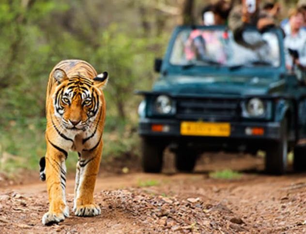 Jaipur Ranthambore Udaipur Tour